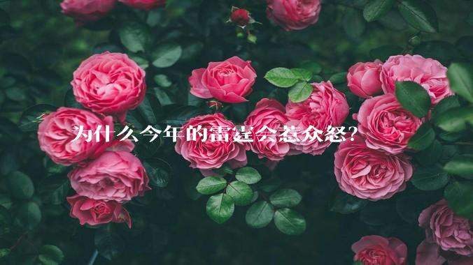 为什么今年的雷霆会惹众怒？