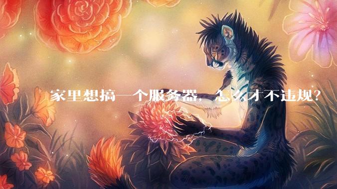 家里想搞一个服务器，怎么才不违规？
