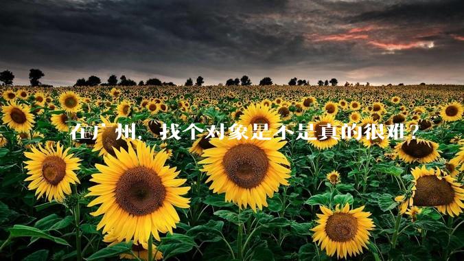 在广州，找个对象是不是真的很难？