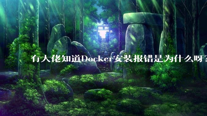 有大佬知道Docker安装报错是为什么呀？