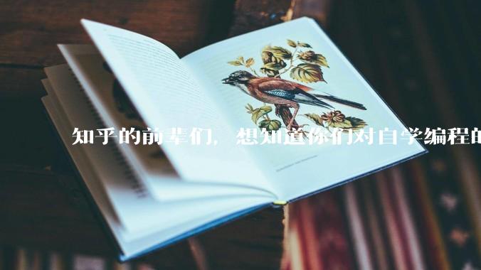 知乎的前辈们，想知道你们对自学编程的建议?