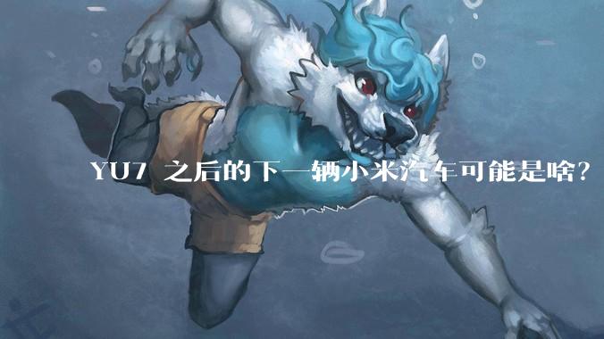 YU7 之后的下一辆小米汽车可能是啥？小米会把所有车型做一遍吗？