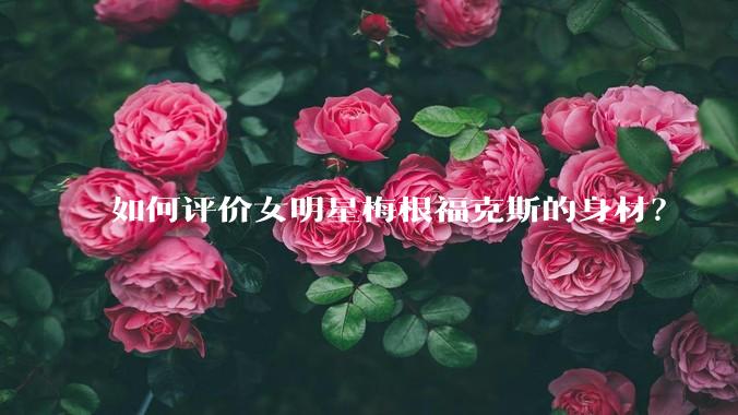 如何评价女明星梅根福克斯的身材？