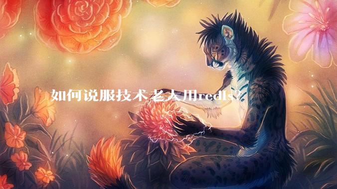 如何说服技术老大用redis？