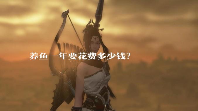 养鱼一年要花费多少钱？