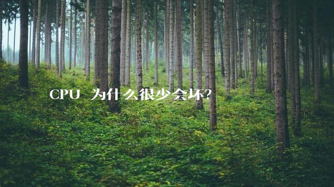 CPU 为什么很少会坏？