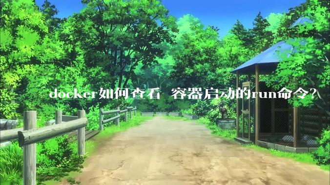 docker如何查看 容器启动的run命令？