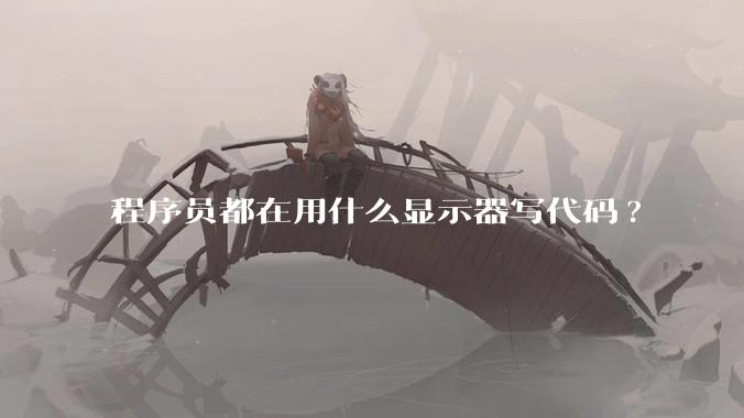 程序员都在用什么显示器写代码?
