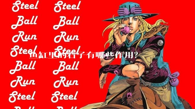 鱼缸里的石子有哪些作用？