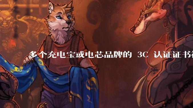 多个充电宝或电芯品牌的 3C 认证证书被暂停，涉及罗马仕、安克、绿联、倍思、安普瑞斯等，发生了什么？