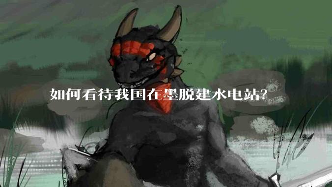 如何看待我国在墨脱建水电站？