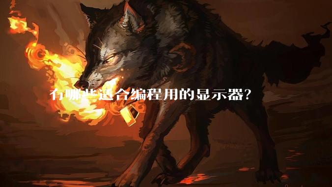 有哪些适合编程用的显示器？