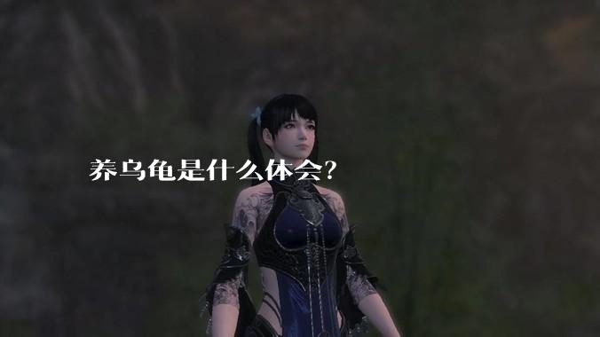 养乌龟是什么体会？