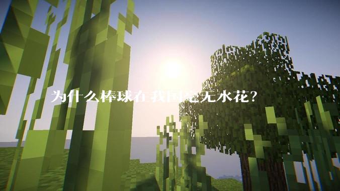 为什么棒球在我国毫无水花？