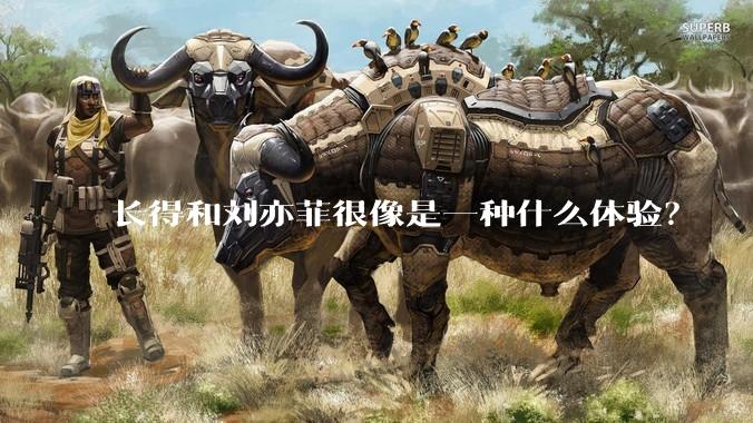 长得和刘亦菲很像是一种什么体验？