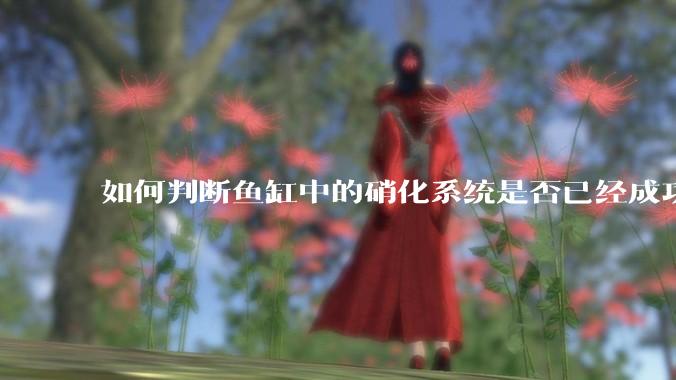 如何判断鱼缸中的硝化系统是否已经成功建立？