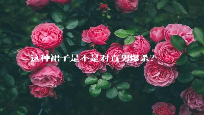 这种裙子是不是对直男爆杀？