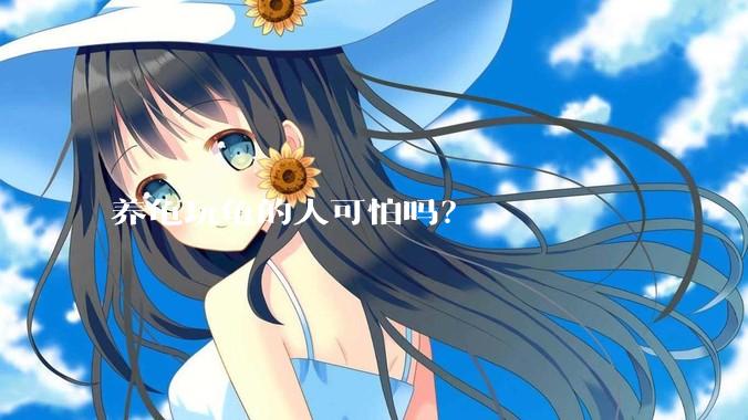 养龟玩龟的人可怕吗？