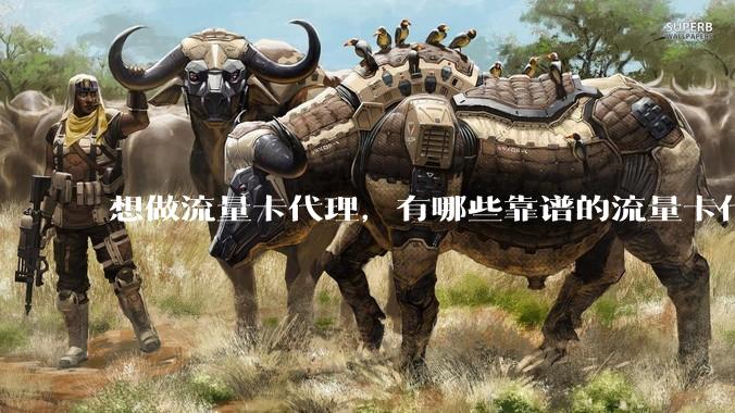 想做流量卡代理，有哪些靠谱的流量卡代理平台？