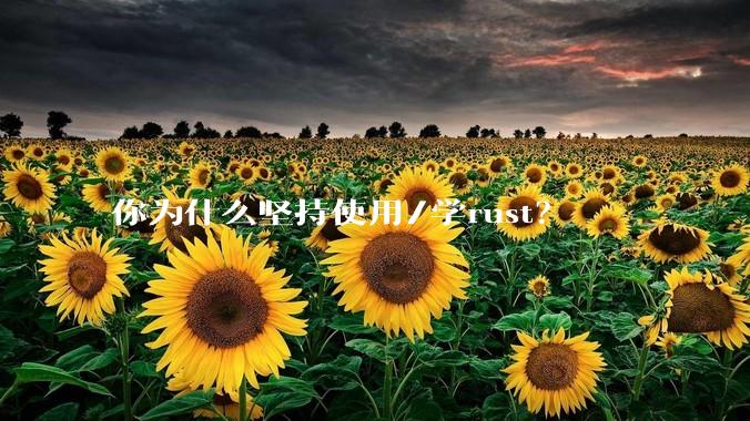 你为什么坚持使用/学rust？