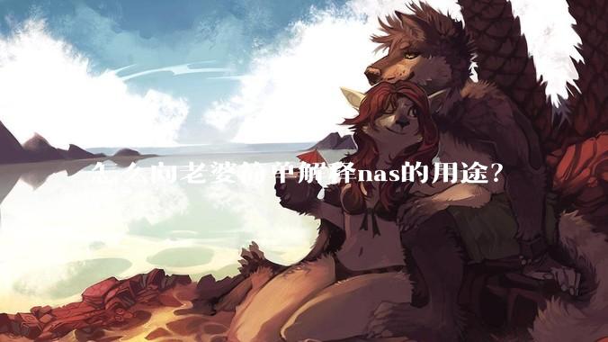 怎么向老婆简单解释nas的用途？