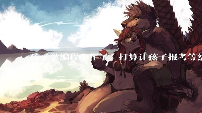 孩子学编程半年了，打算让孩子报考等级考试，大家觉得等级考试证书有用吗？