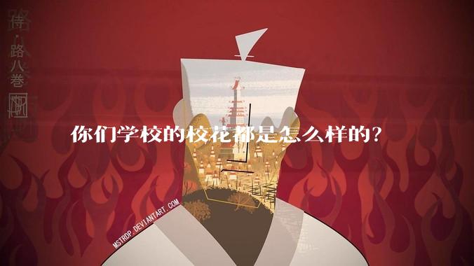 你们学校的校花都是怎么样的？
