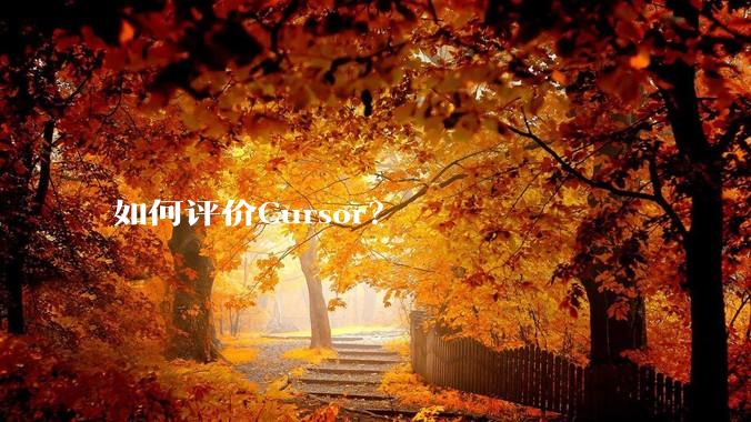 如何评价Cursor？