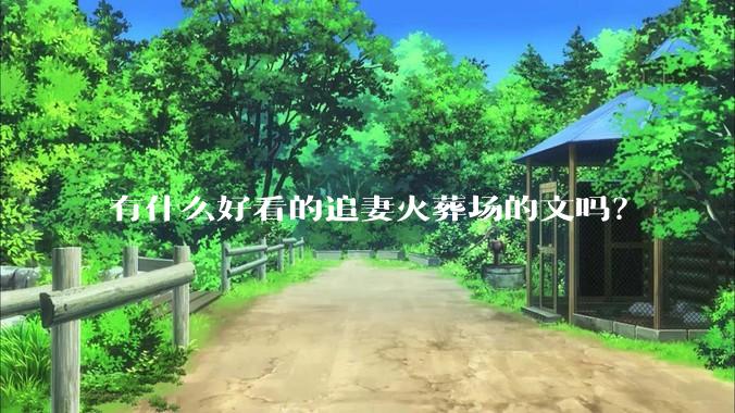 有什么好看的追妻火葬场的文吗？