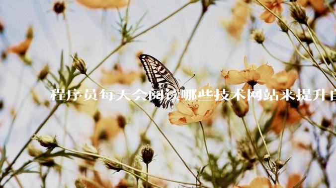 程序员每天会阅读哪些技术网站来提升自己?