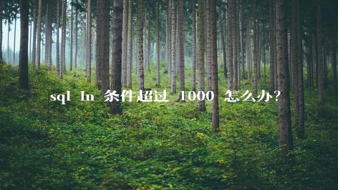 sql in 条件超过 1000 怎么办？