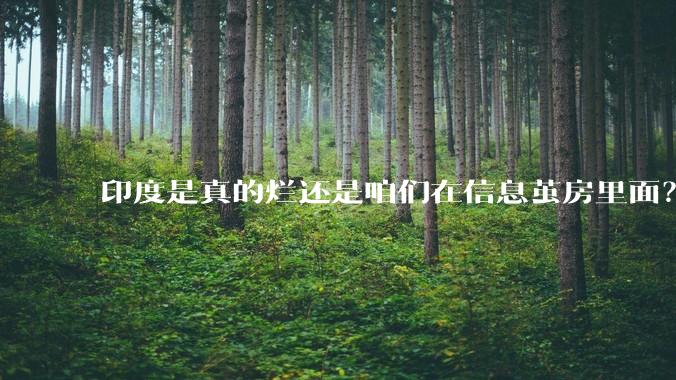 印度是真的烂还是咱们在信息茧房里面？