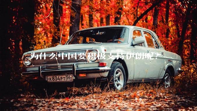为什么中国要积极支持伊朗呢？