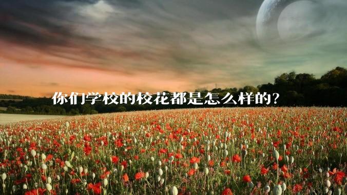 你们学校的校花都是怎么样的？