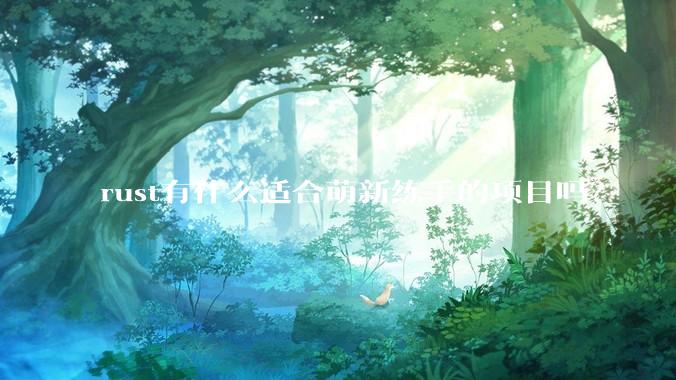rust有什么适合萌新练手的项目吗？