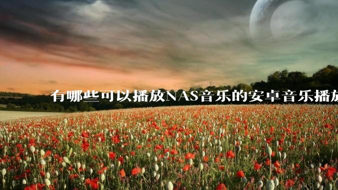 有哪些可以播放NAS音乐的安卓音乐播放器？