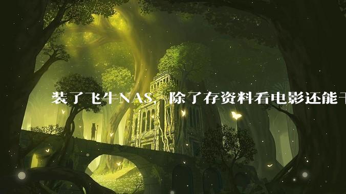 装了飞牛NAS，除了存资料看电影还能干什么？