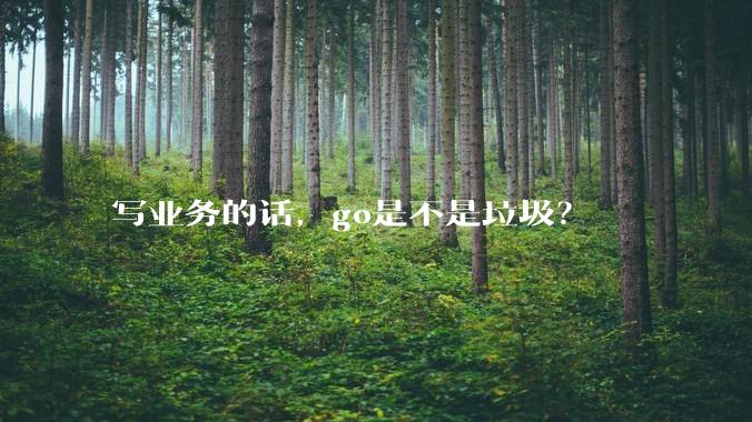 写业务的话，go是不是垃圾？
