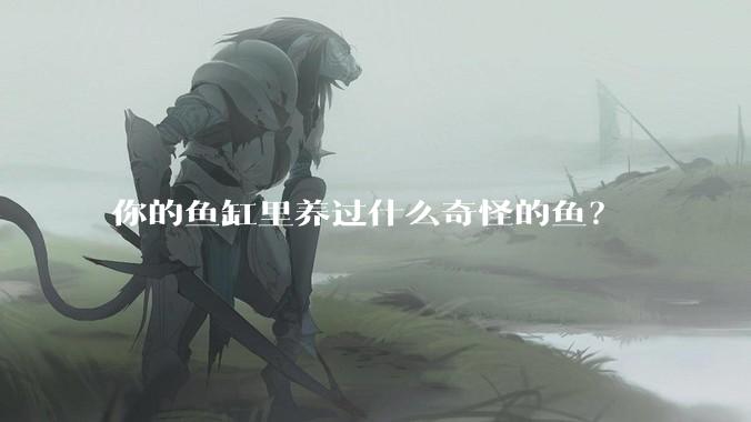 你的鱼缸里养过什么奇怪的鱼？