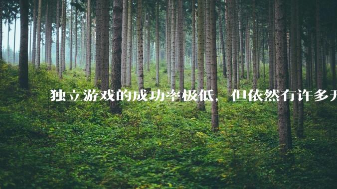 独立游戏的成功率极低，但依然有许多开发者愿意投入数年时间去“孤注一掷”。他们为什么会做出这样的选择？