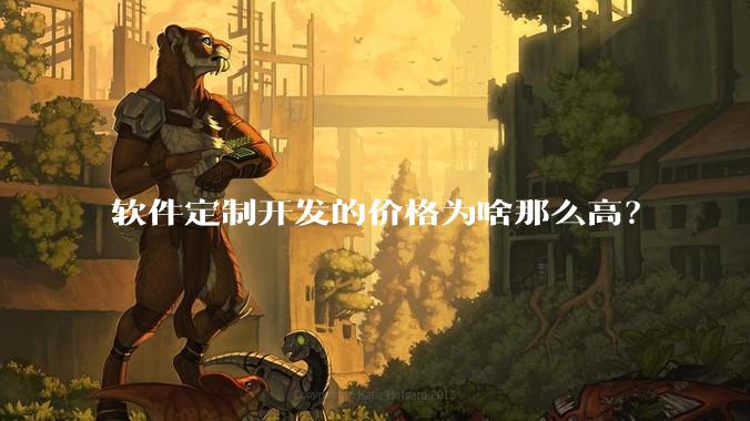 软件定制开发的价格为啥那么高？