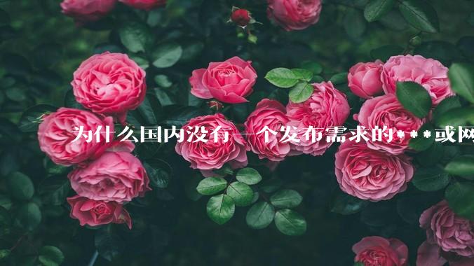 为什么国内没有一个发布需求的***或网站呢？