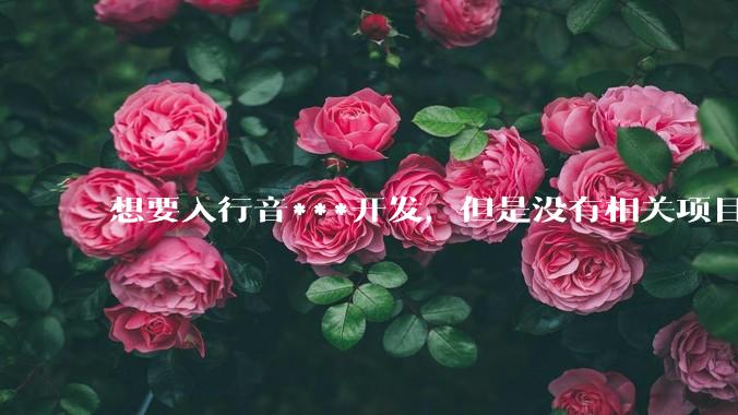 想要入行音***开发，但是没有相关项目经验怎么办？