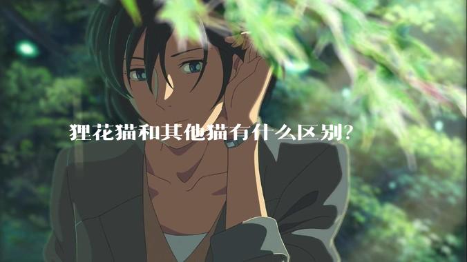狸花猫和其他猫有什么区别？