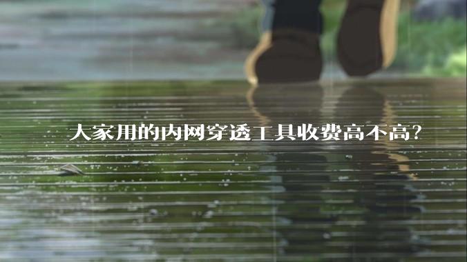 大家用的内网穿透工具收费高不高？