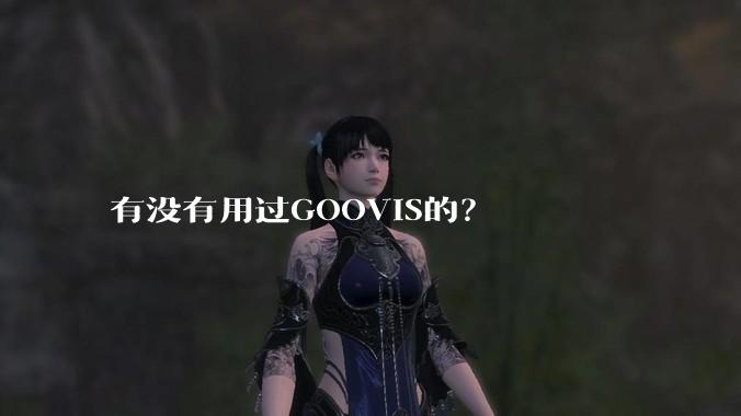 有没有用过GOOVIS的？