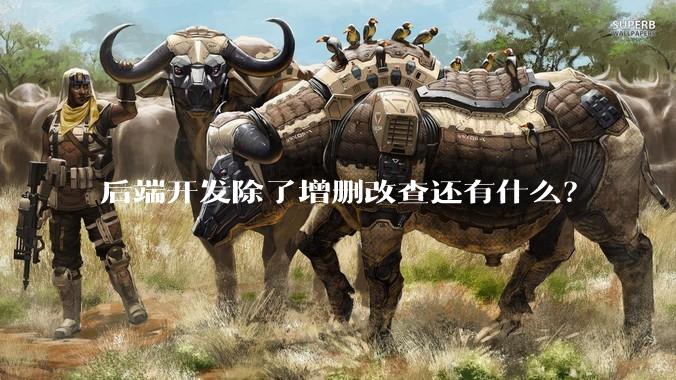 后端开发除了增删改查还有什么？