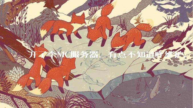 开了个MC服务器，有点不知道咋维护，有谁愿意帮我看看嘛？