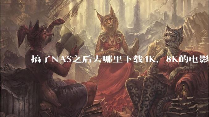 搞了NAS之后去哪里下载4K，8K的电影？