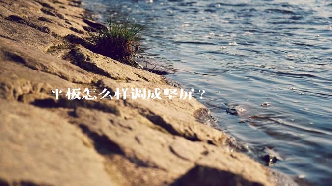 平板怎么样调成坚屏?